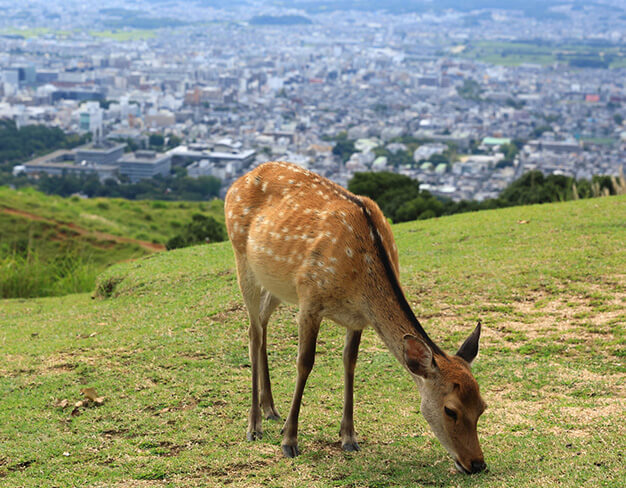 風景