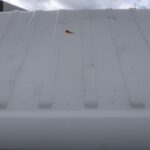 ダンプ　フルフラットロー